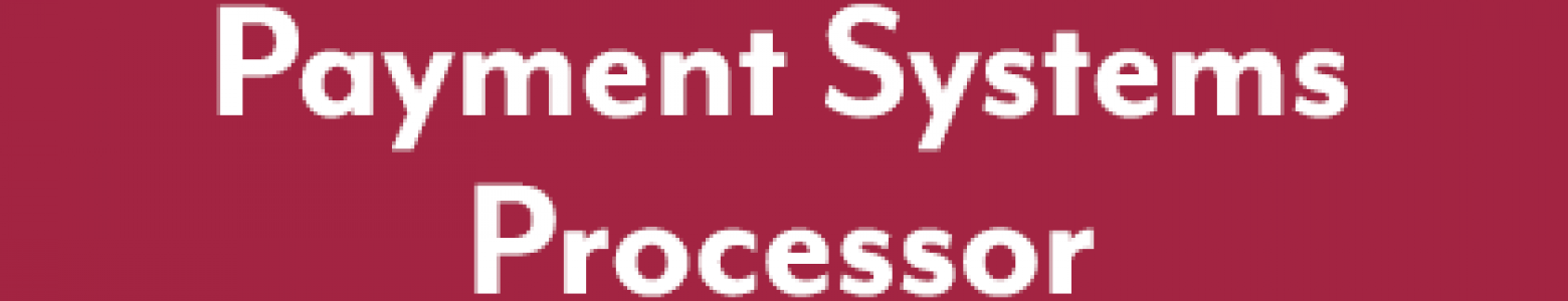 Payment Systems Processor  |  STRATEGIC ADVISORY